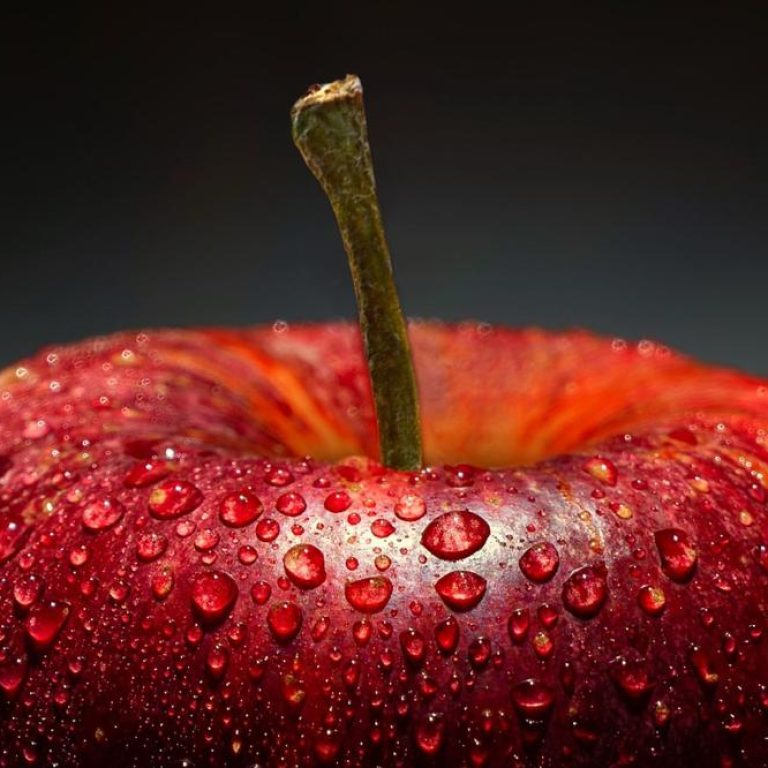 iron-rich-foods-736d210c2d6348cd9f5faceb1475d856
